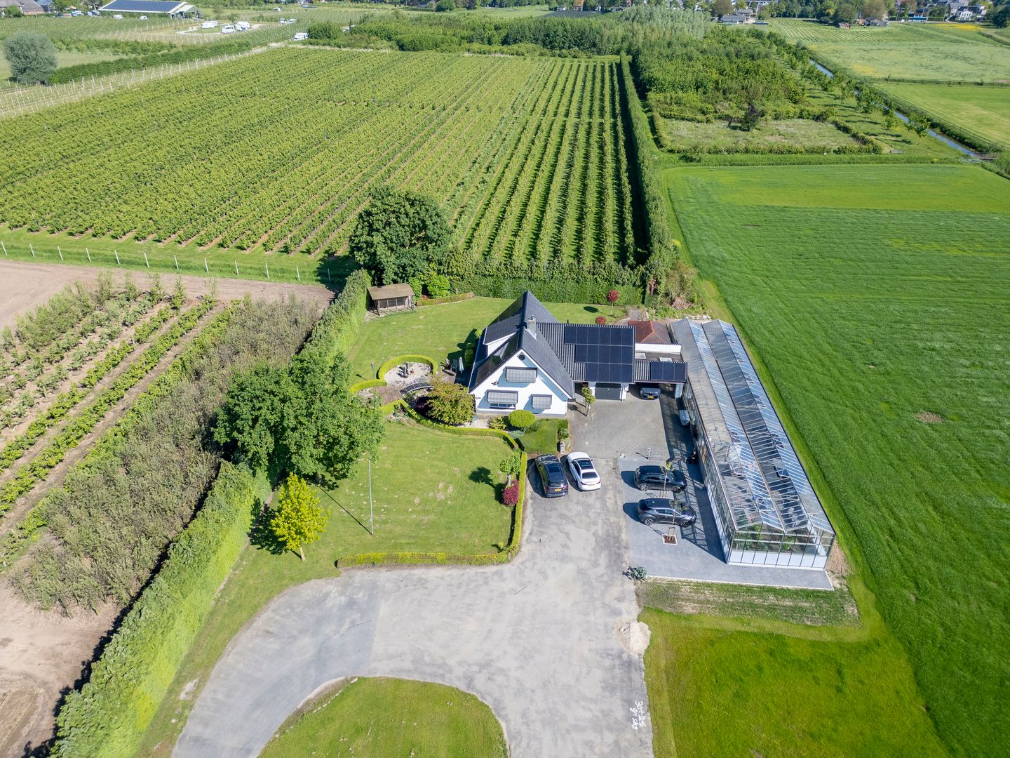 Foto 10 van het Nevelveld