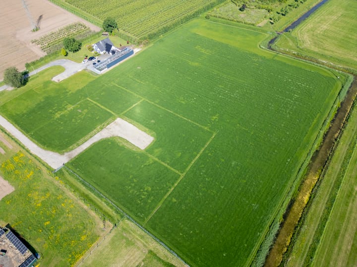 Foto 3 van het Nevelveld