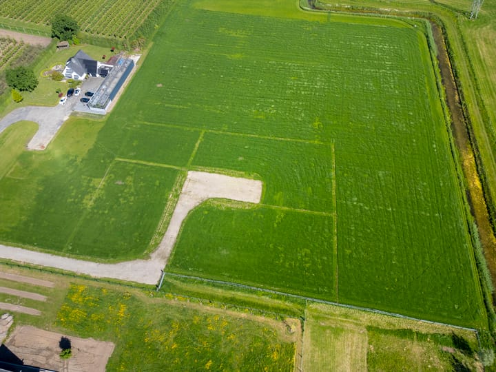 Foto 4 van het Nevelveld