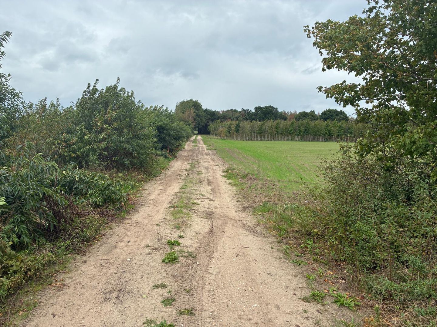 View photo 5 of Nieuwenhofweg