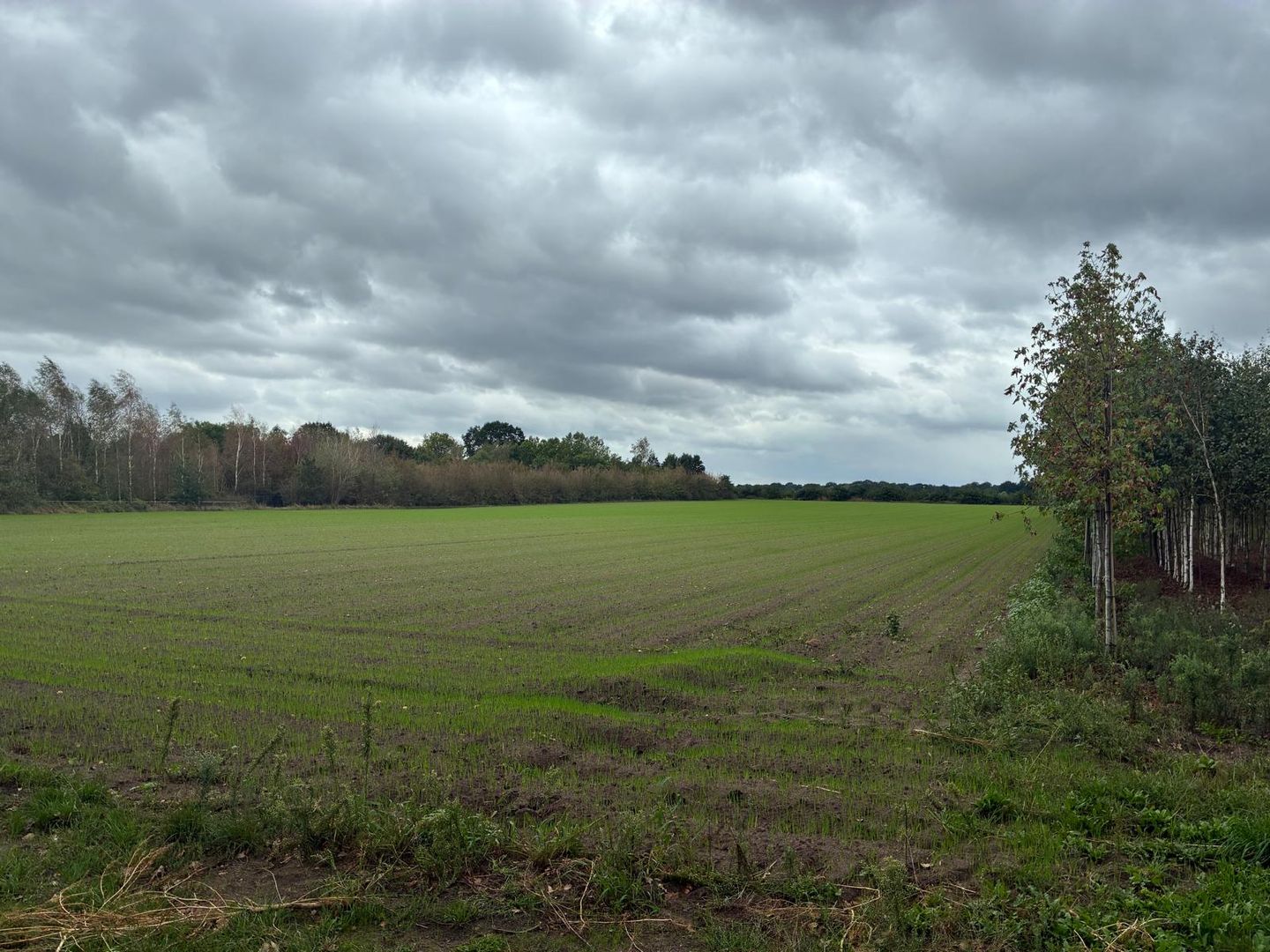 Nieuwenhofweg - Melderslo - Afbeelding 7