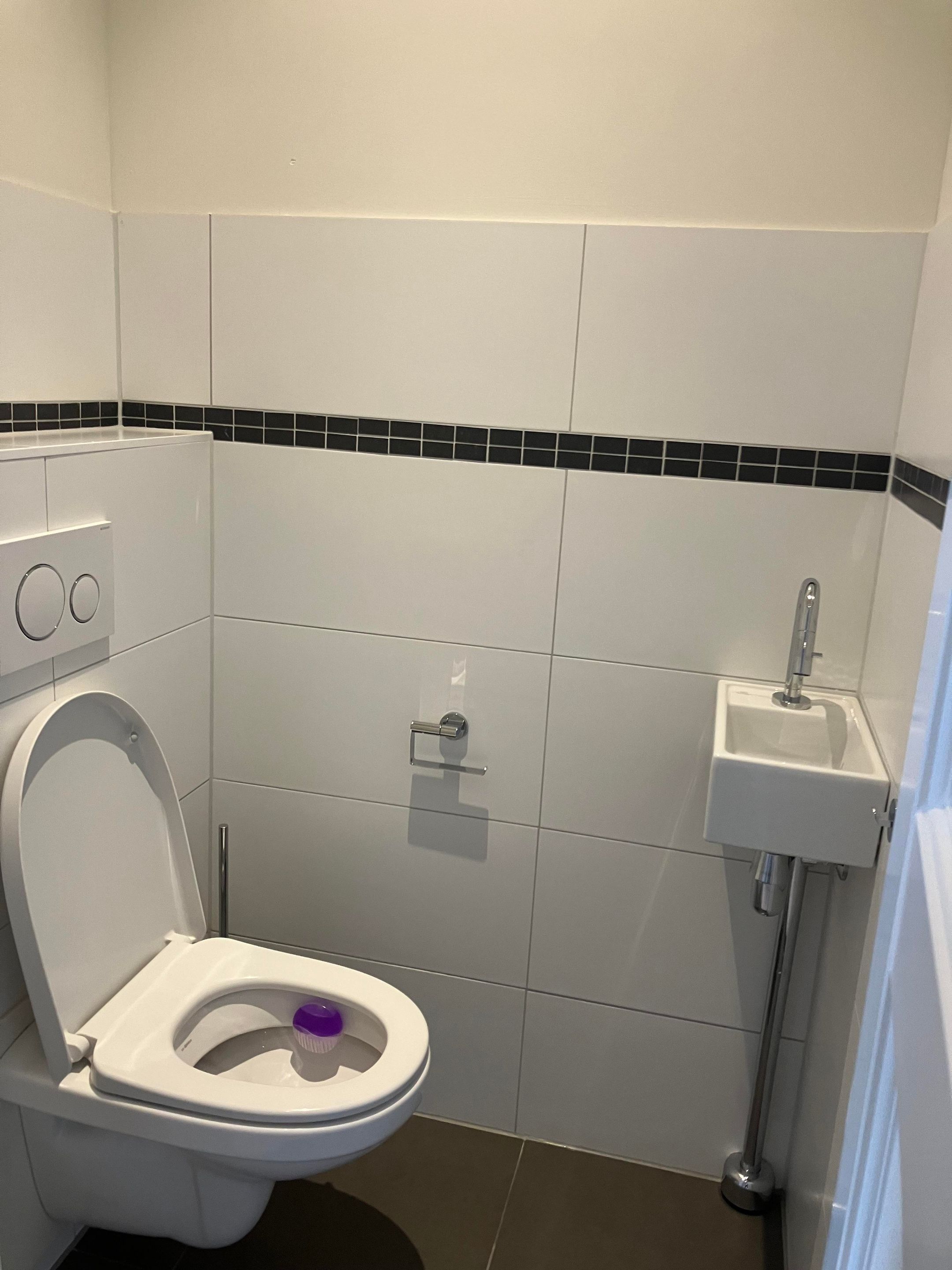 Foto 12 van Minervalaan 53-4