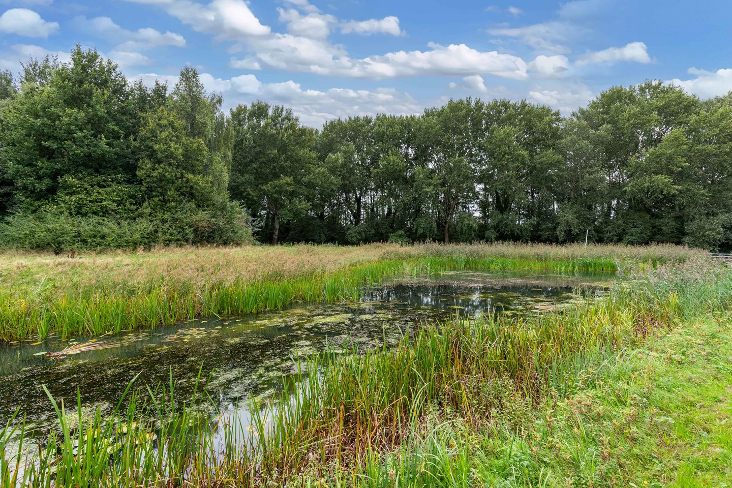 Photo 55 of Bûtewacht 39