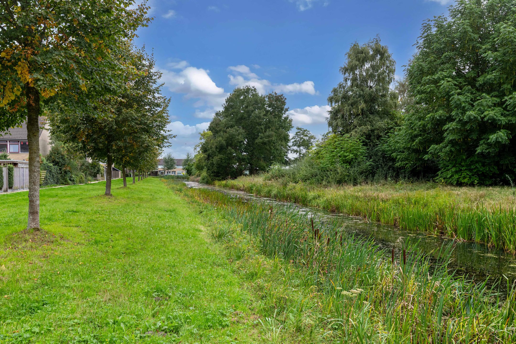 Photo 54 of Bûtewacht 39