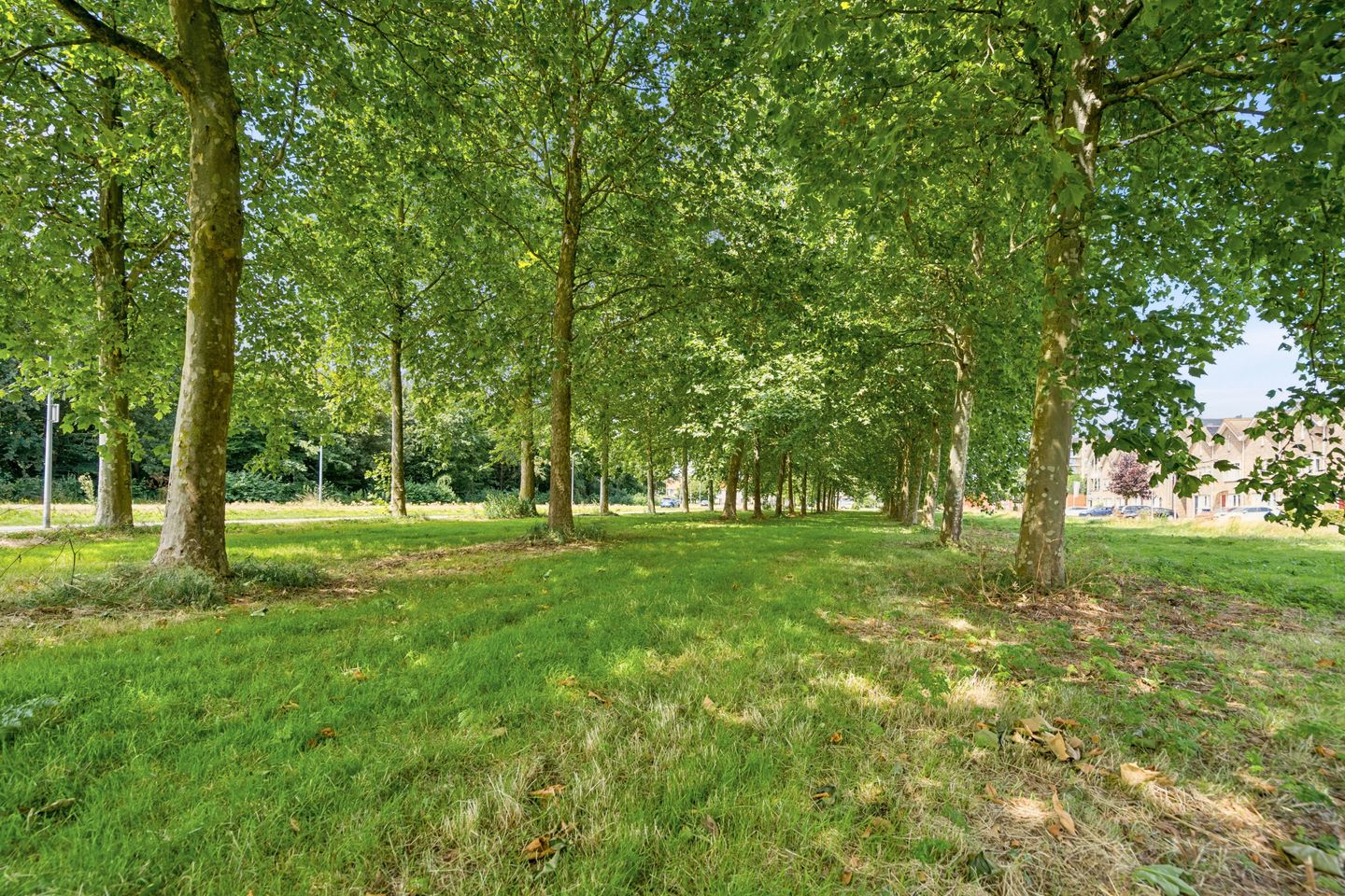 Photo 40 of Olivier B. Bommelhof 18