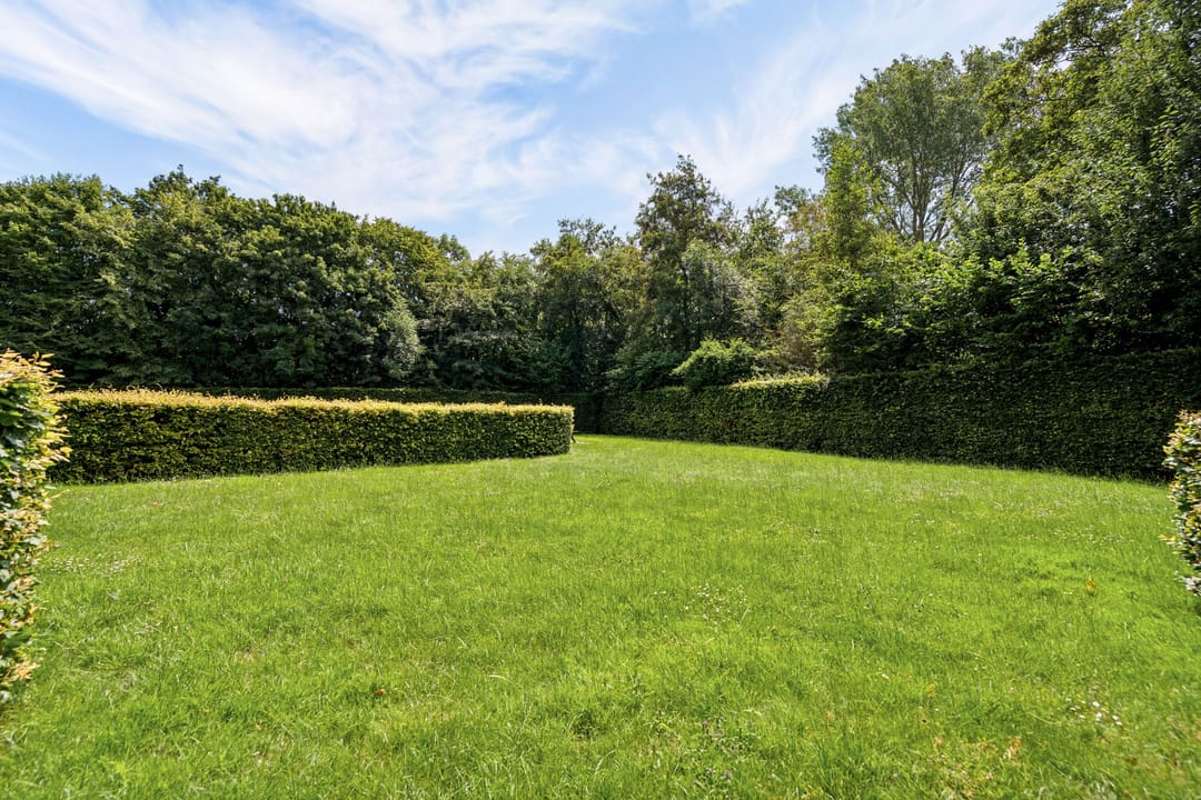 Photo 37 of Olivier B. Bommelhof 18