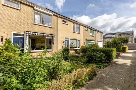 Irisstraat thumbnail