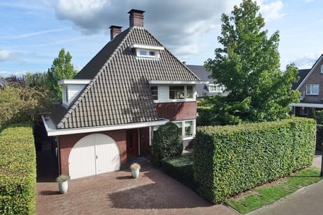 Roosjespeer thumbnail