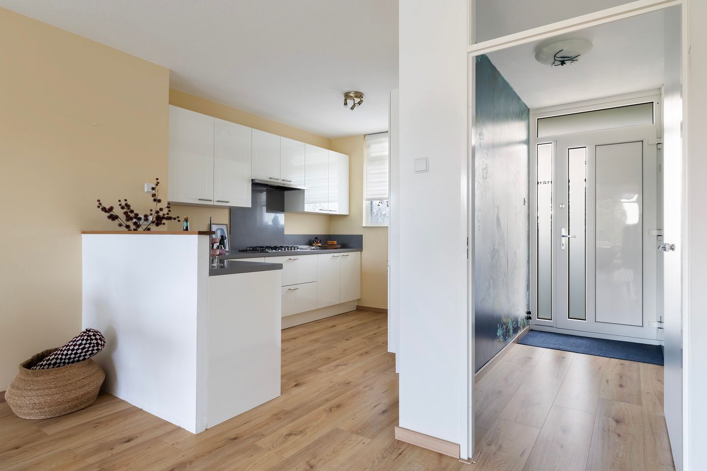 Photo 19 of Haringvlietstraat 161