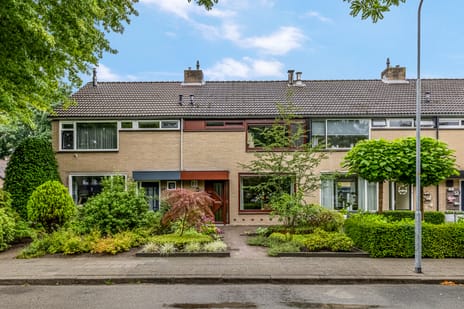 Frans Halsstraat thumbnail