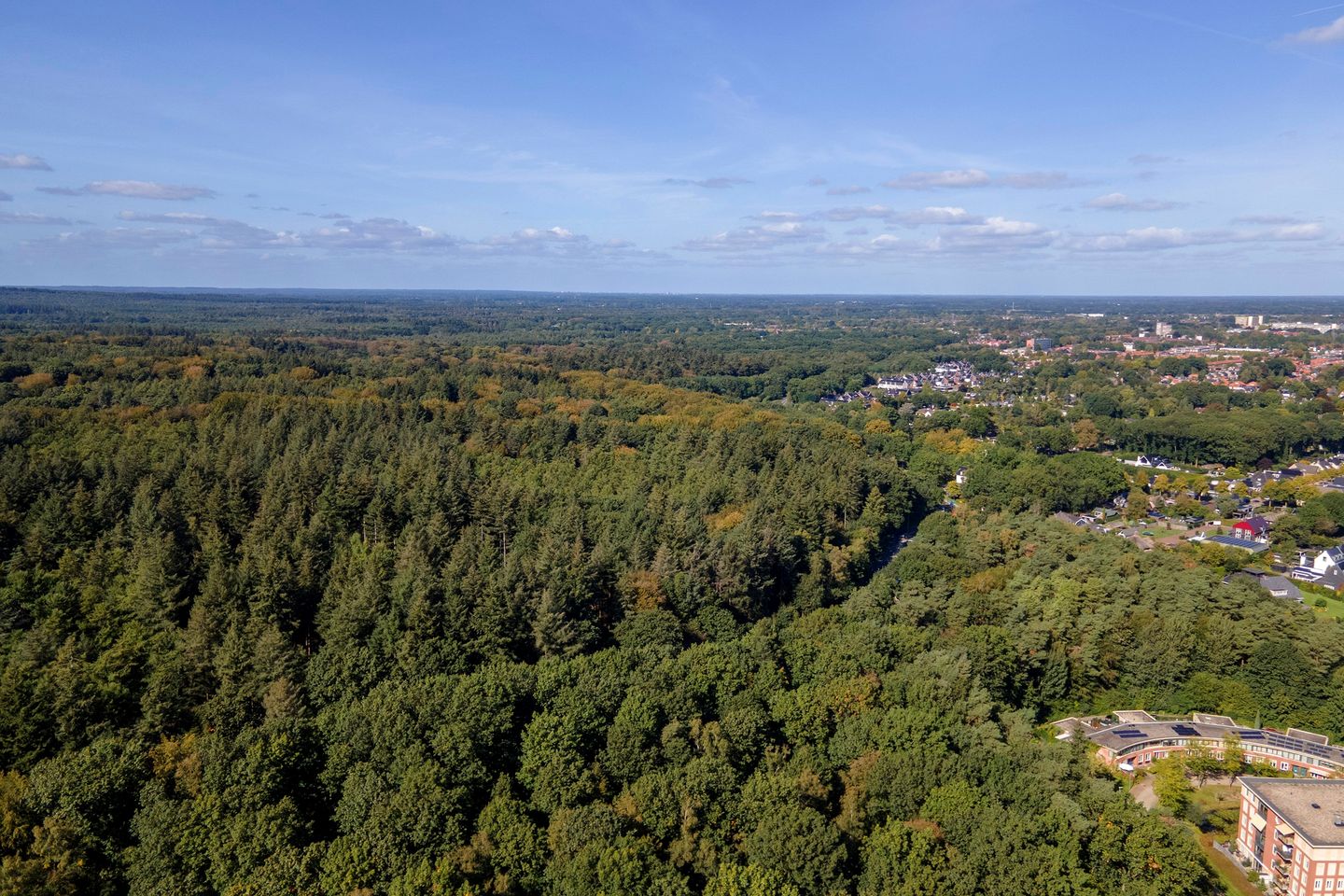 Photo 4 of Jacobaweide 14
