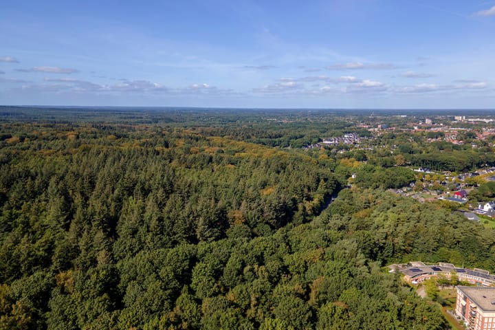 Foto 4 van Jacobaweide 14