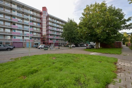 Kervelstraat thumbnail