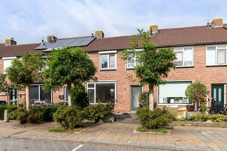 Papaverstraat thumbnail
