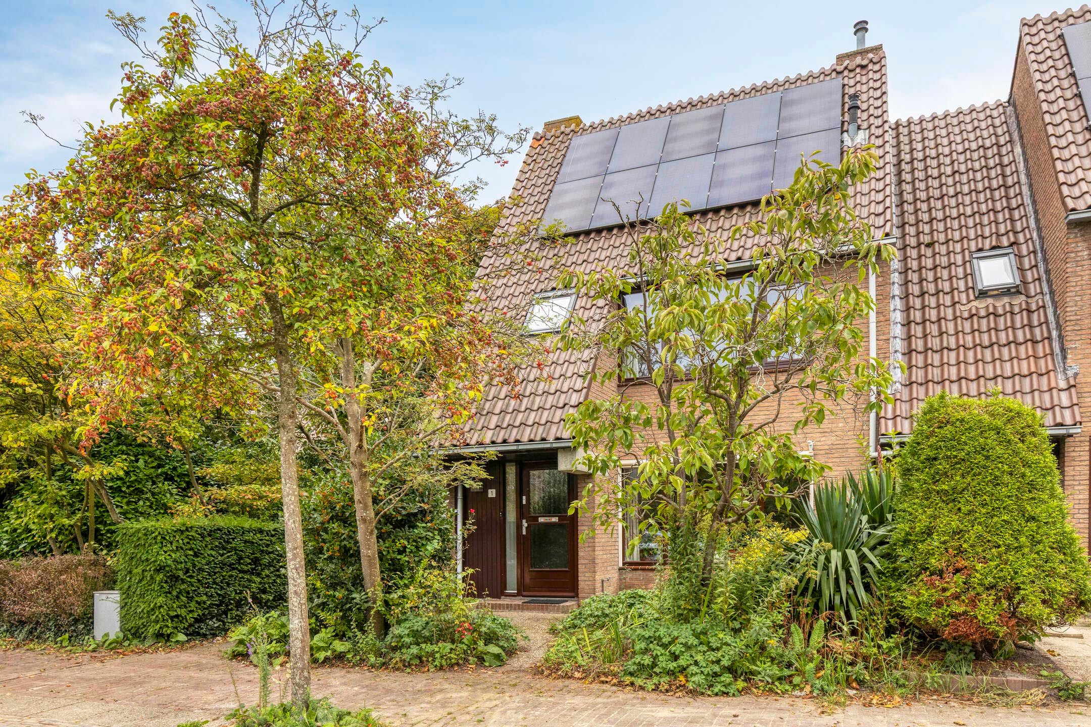 Droogbloem 1 