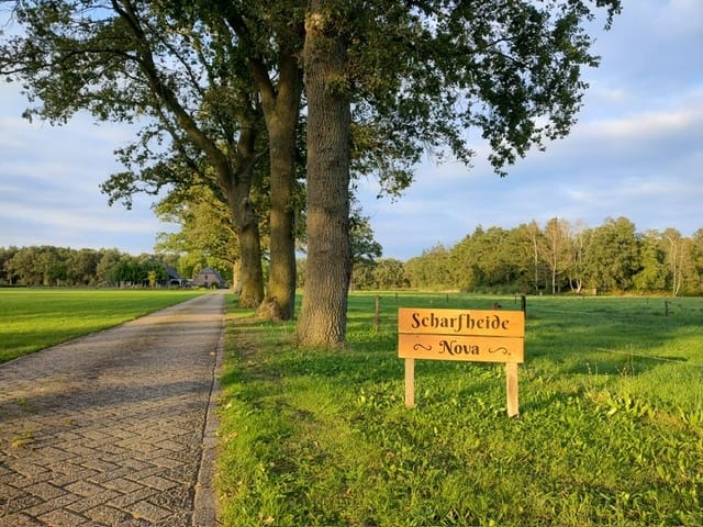 Photo 19 of Scharfdijk 3-C
