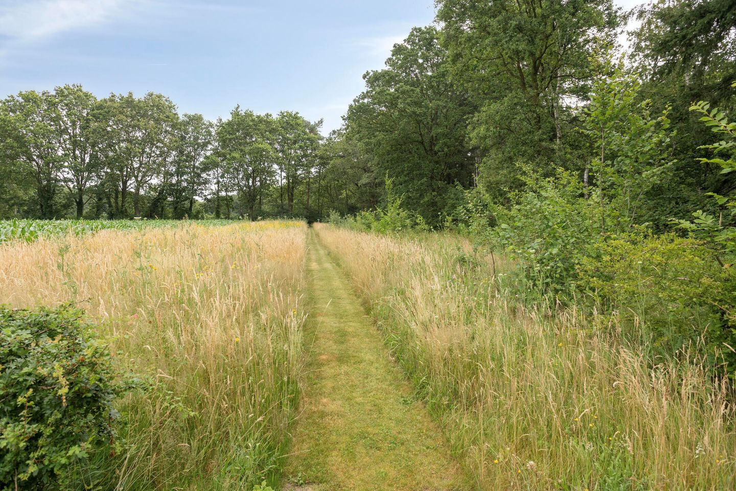 Photo 25 of Scharfdijk 3-C