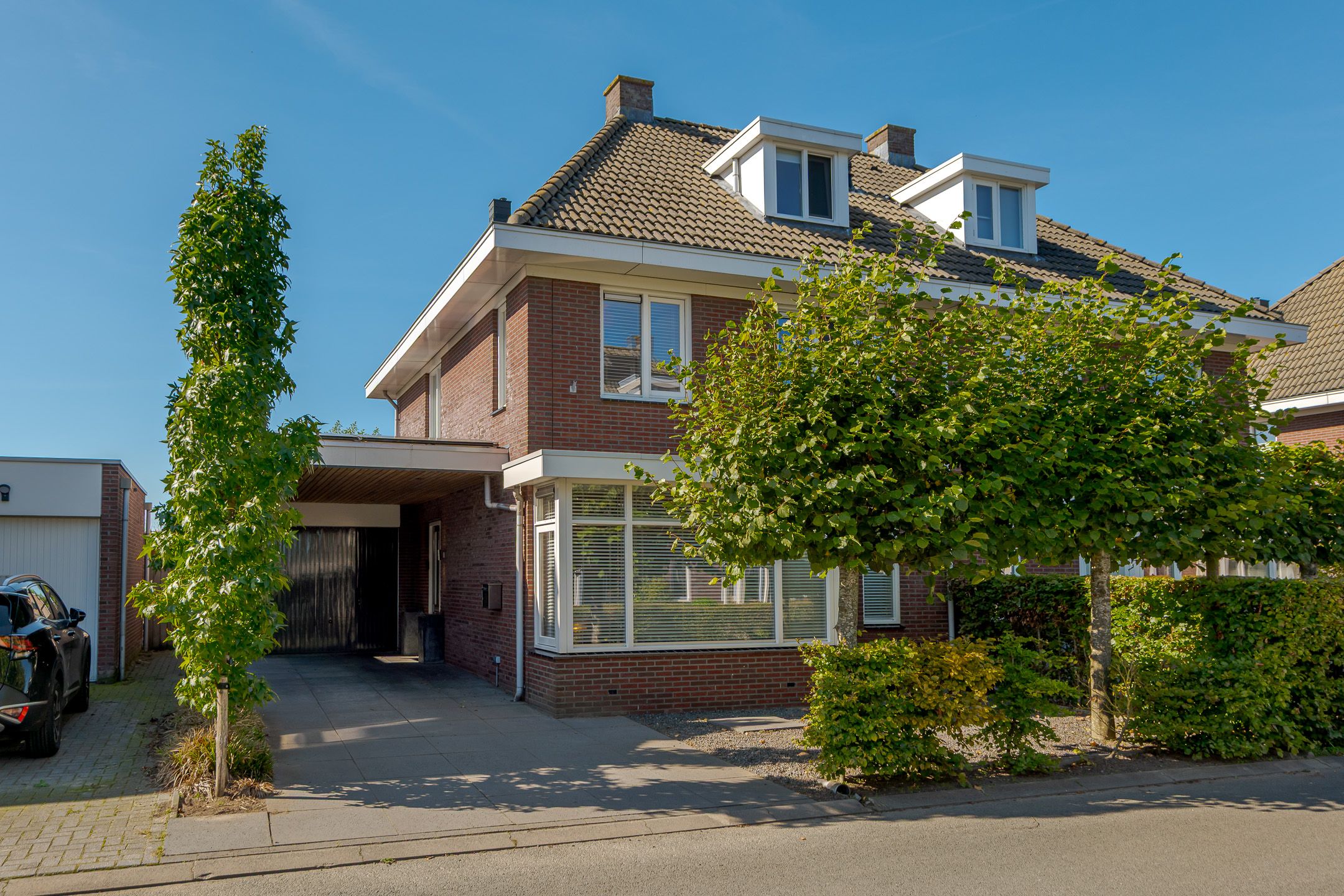 Wilgenroos 10 