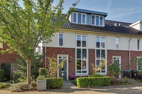 Wenemar van Redichemstraat thumbnail