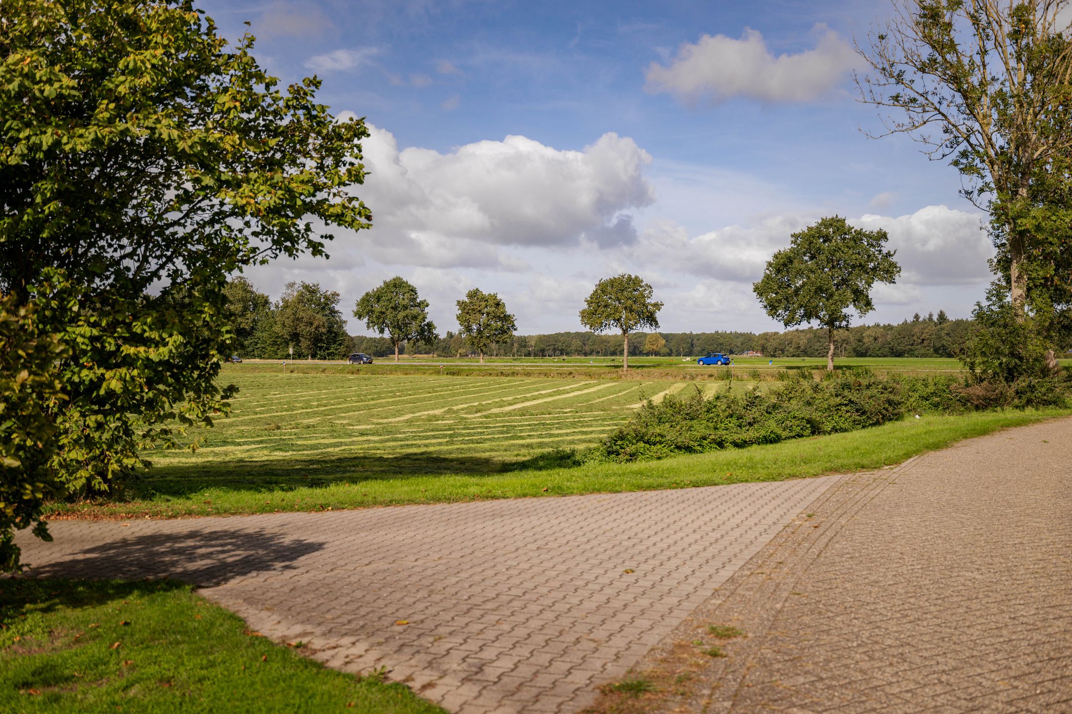 Foto 42 van Overmeenweg 2
