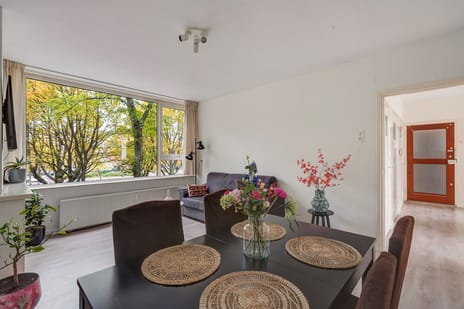 Paulus Buijsstraat thumbnail