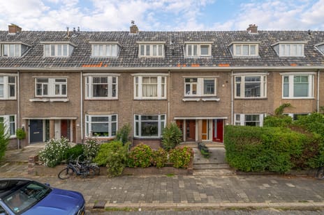 Ternatestraat thumbnail