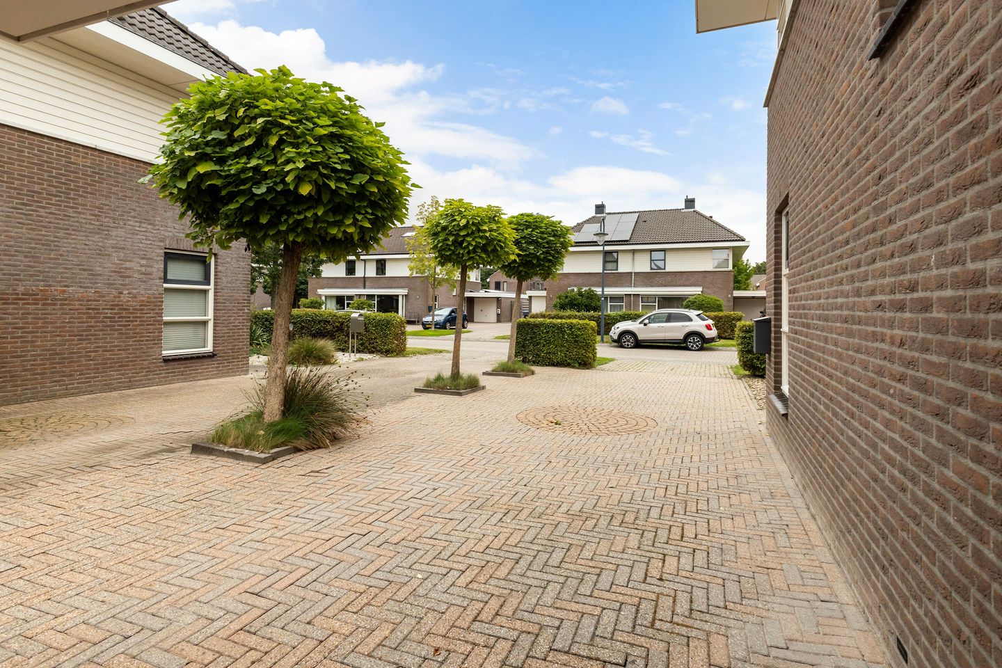 Foto 44 van Het Zool 11