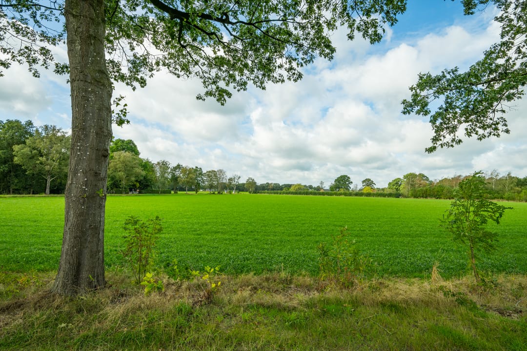 Photo 46 of Zelledijk 10