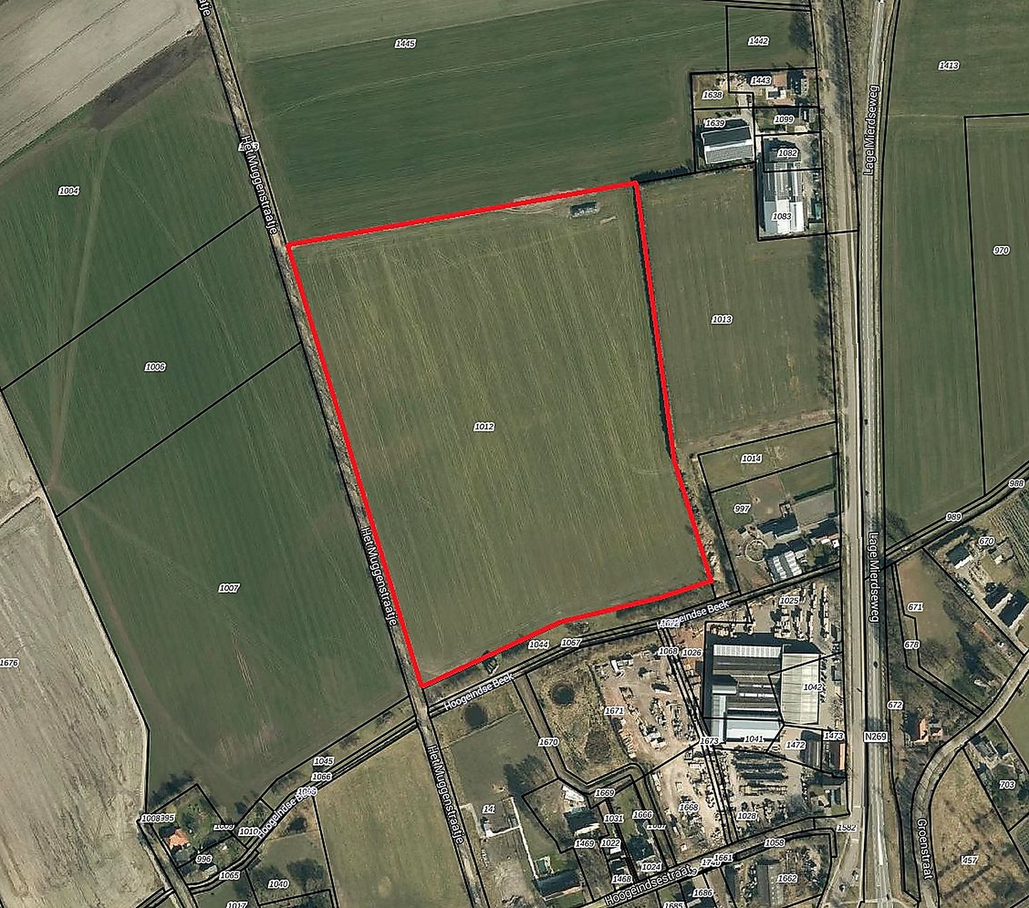 Het Muggenstraatje - Esbeek - Afbeelding 2