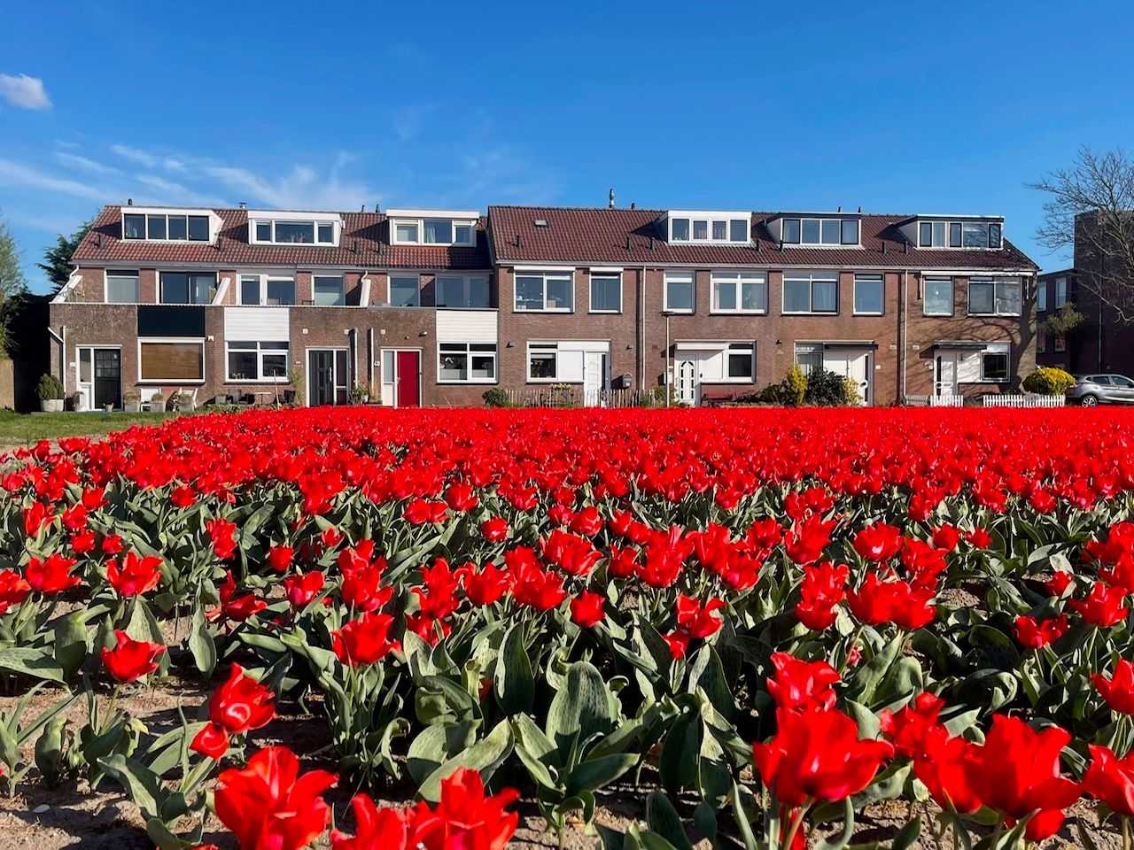 Foto 4 van Jozef Beugelsdijkstraat 38