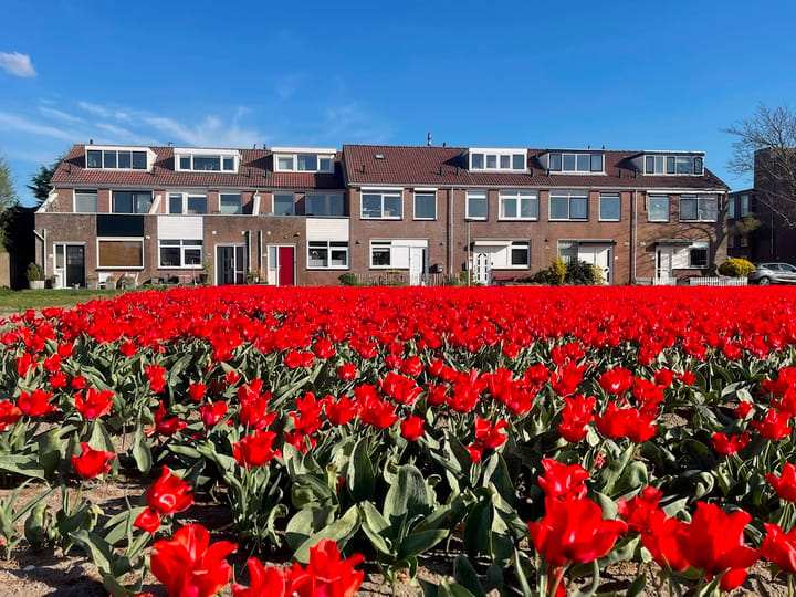 Foto 4 van Jozef Beugelsdijkstraat 38