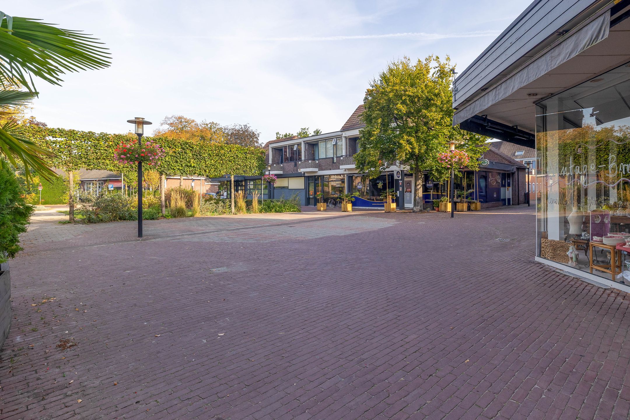Foto 36 van de Brink 41