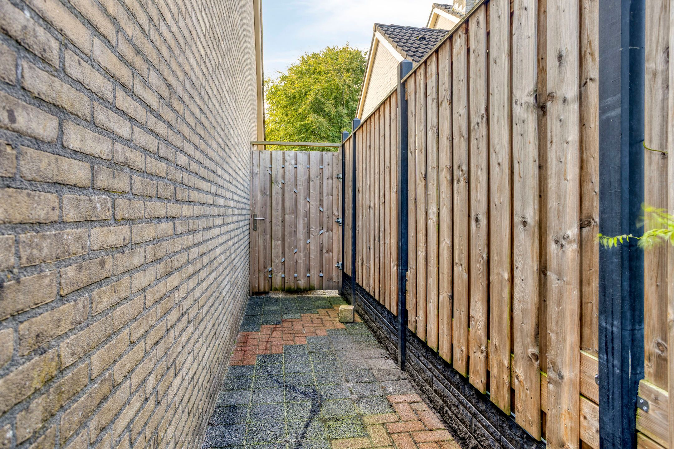 Foto 42 van Grietenij 100