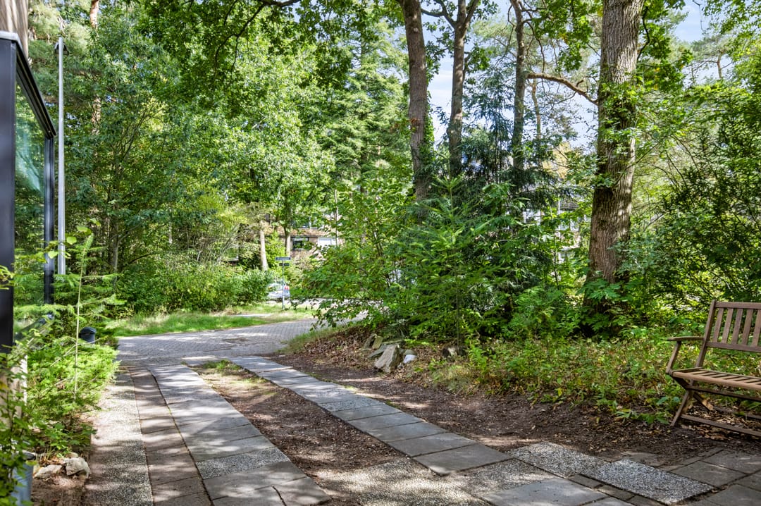 Photo 47 of Elzenoord 1