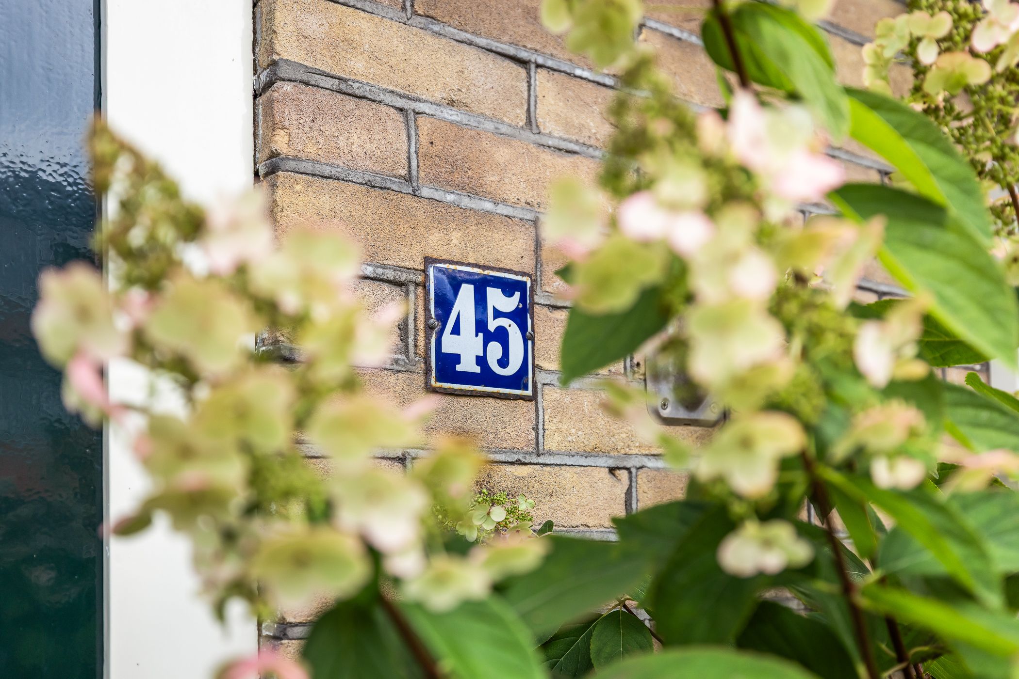 Foto 9 van Rijnstraat 45