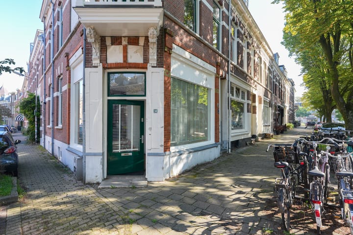 Foto 2 van van Goorstraat 34