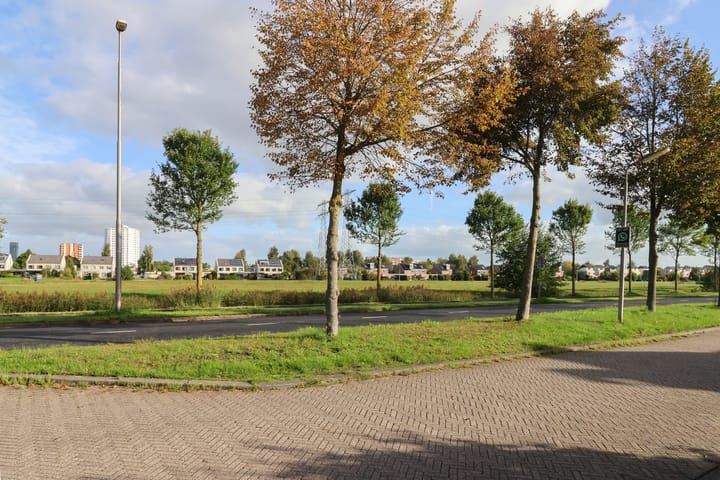 Vrijstaande woning te koop: van Emingaleane 4, Goutum