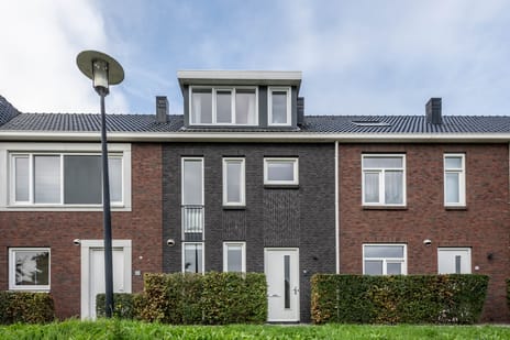 Veldesdoorn thumbnail