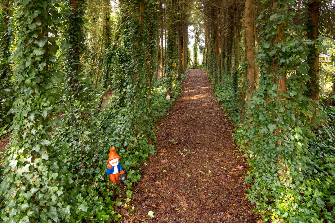 Foto 46 van Schaalbergerweg 36