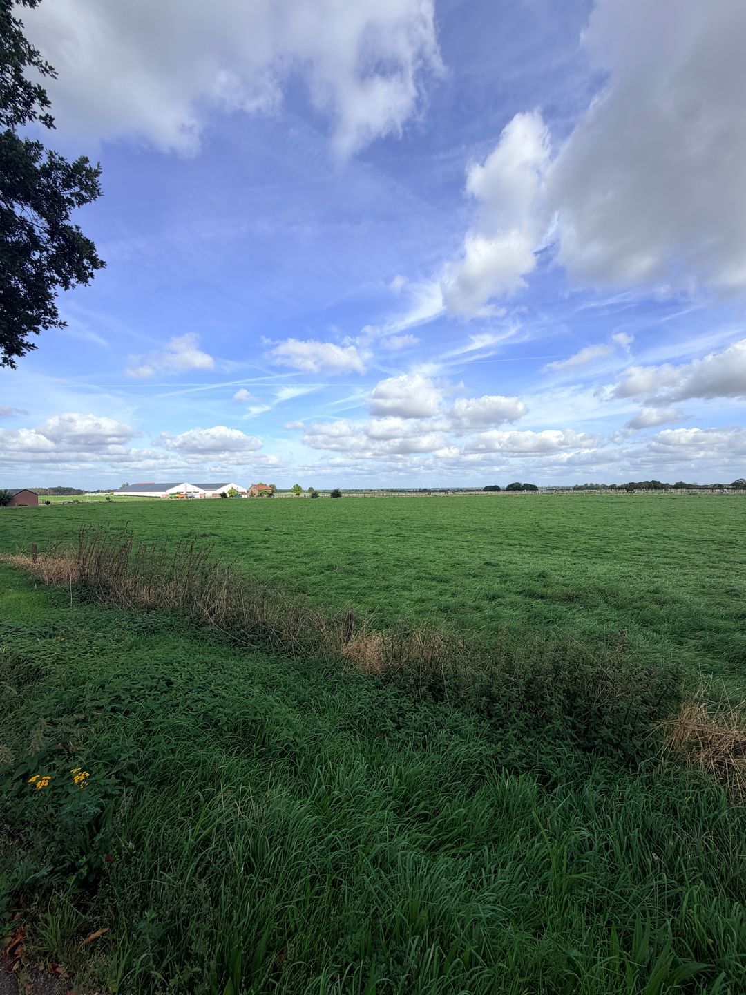 Foto 46 van Europaweg-Noord 17