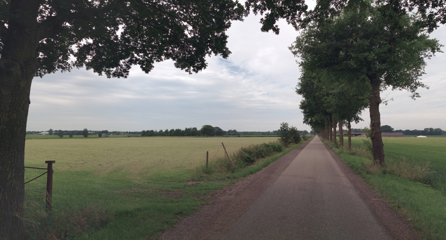 Wolfskamp - Milheeze - Afbeelding 4