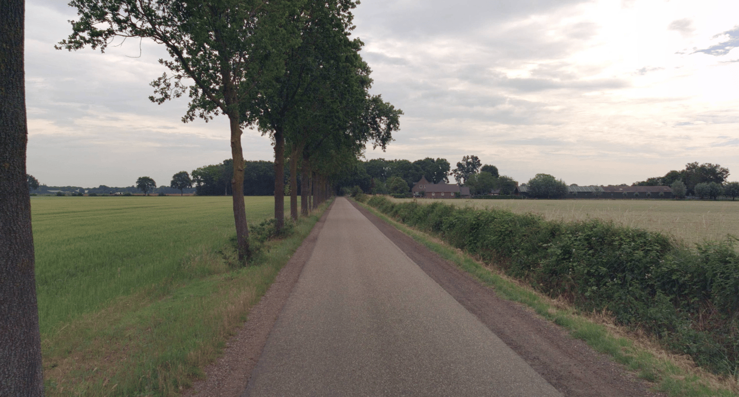 Wolfskamp - Milheeze - Afbeelding 5