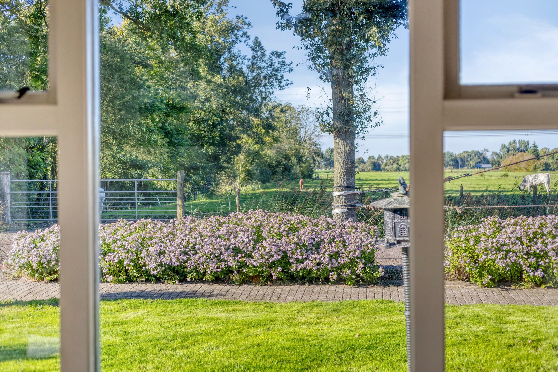 Photo 6 of Hoge Tilweg 18