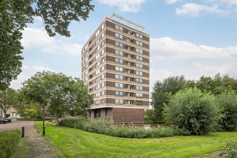 Boerhaavestraat thumbnail