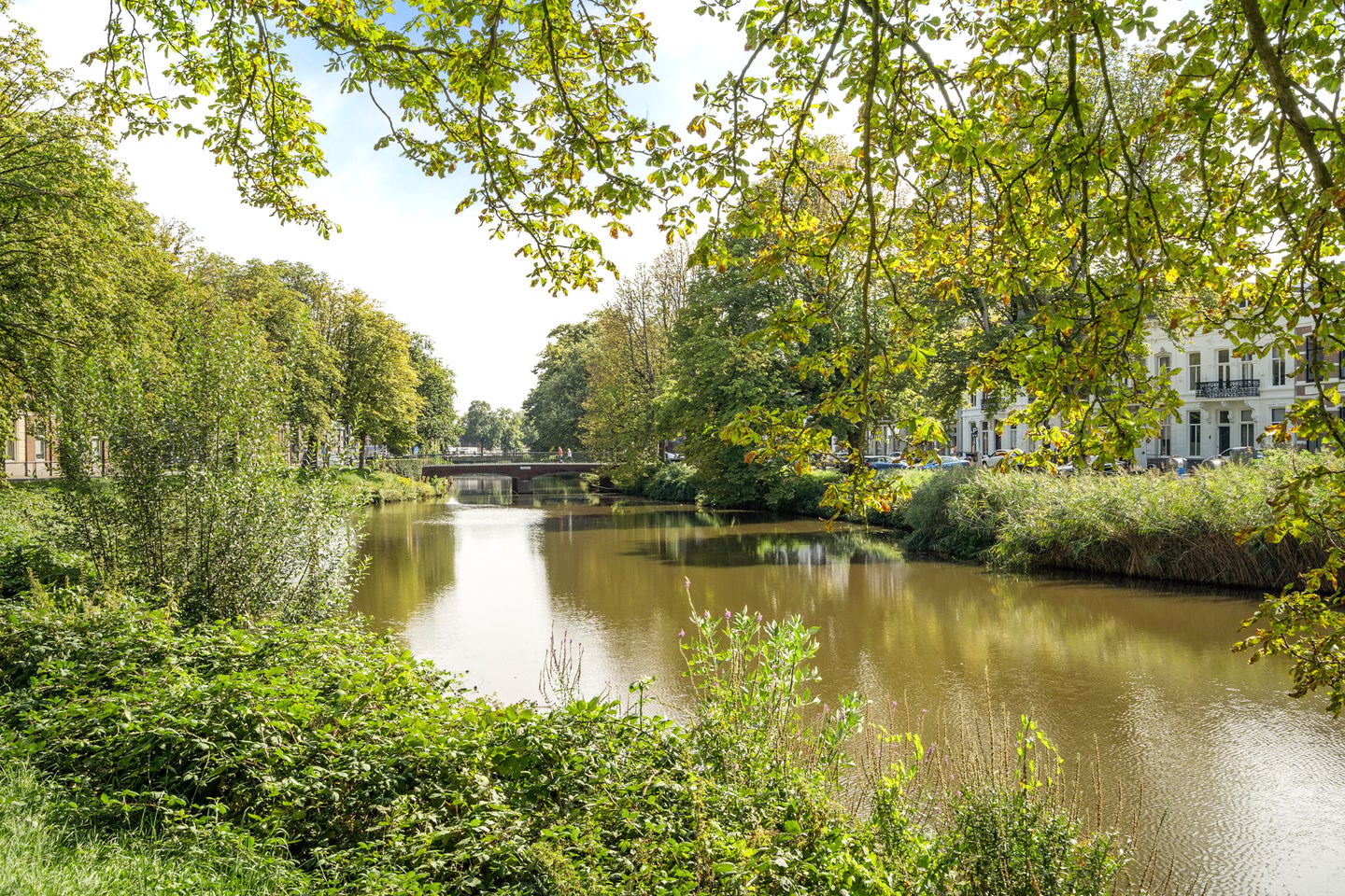 Foto 44 van Meerten Verhoffstraat 10-B2