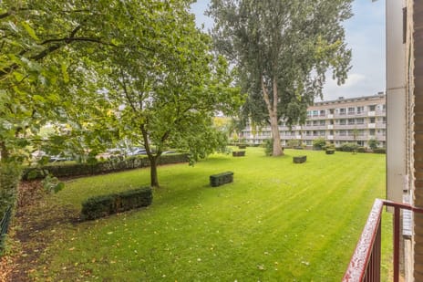 Leenhofstraat thumbnail