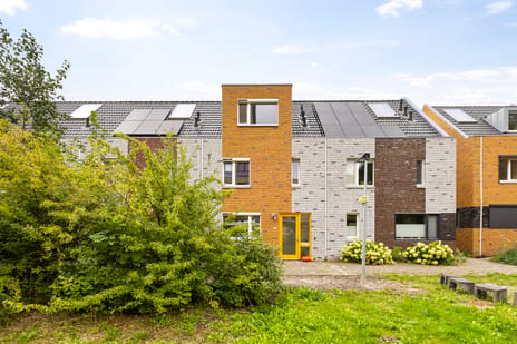 Grote Beerstraat thumbnail