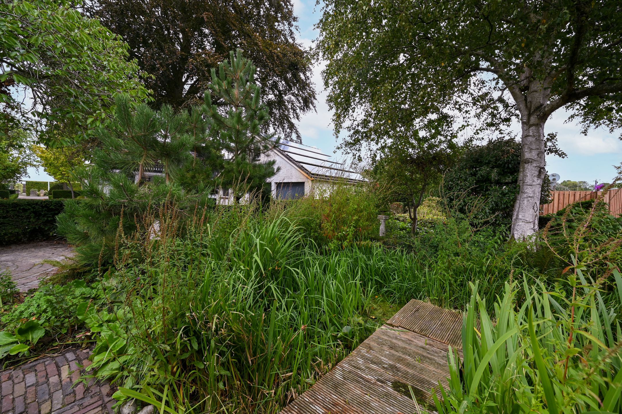 Photo 51 of Westerblokker 14