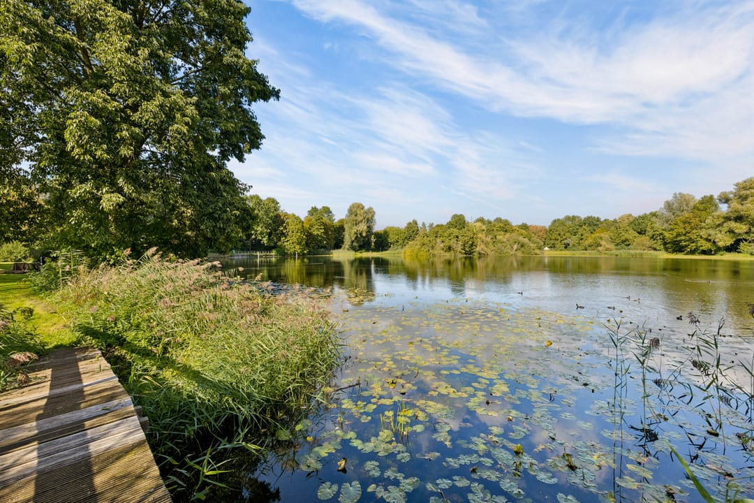 Foto 47 van Zomervlinderberm 80
