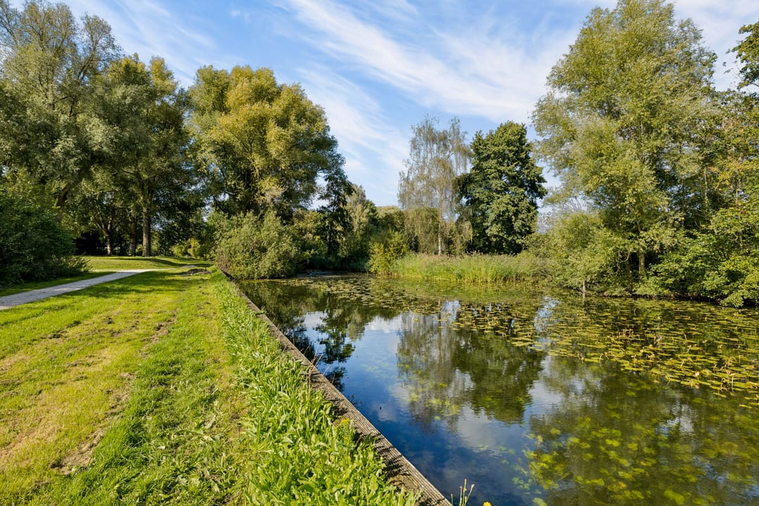 Foto 46 van Zomervlinderberm 80